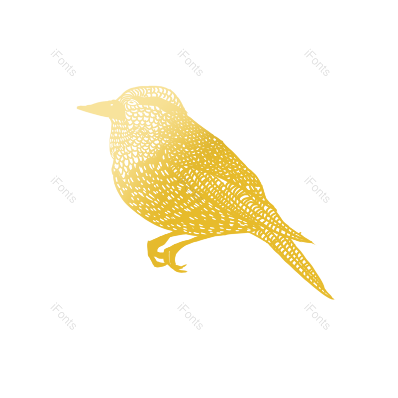 春天图片,线描元素,PNG,免抠素材